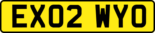 EX02WYO