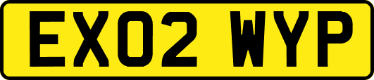 EX02WYP