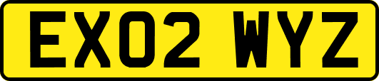 EX02WYZ