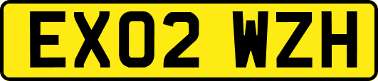 EX02WZH