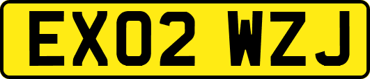 EX02WZJ
