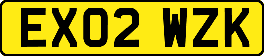 EX02WZK