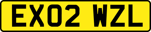 EX02WZL