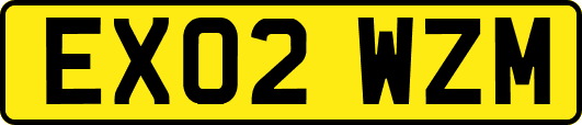 EX02WZM