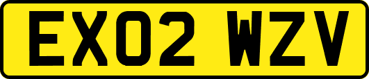 EX02WZV