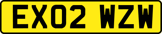 EX02WZW