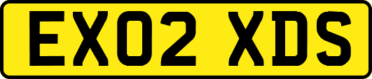EX02XDS