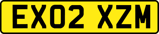 EX02XZM