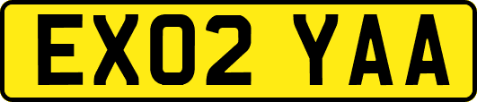 EX02YAA