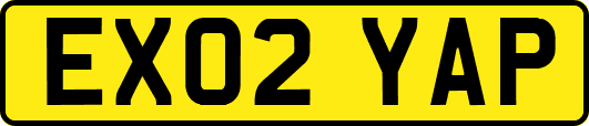 EX02YAP