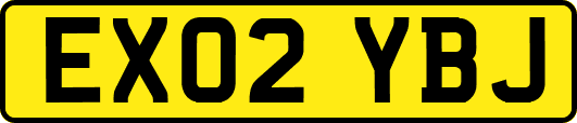 EX02YBJ