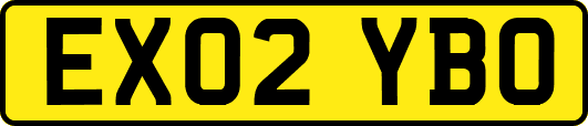 EX02YBO