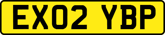 EX02YBP