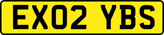 EX02YBS
