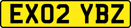 EX02YBZ