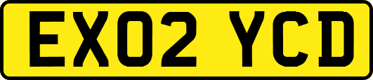 EX02YCD
