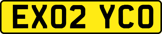 EX02YCO
