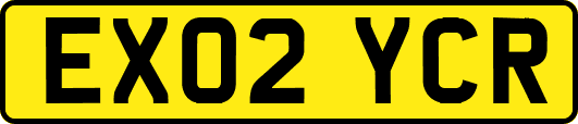 EX02YCR