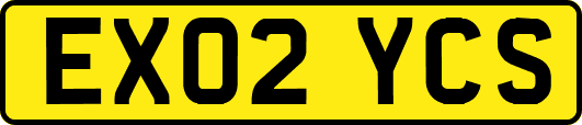 EX02YCS
