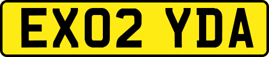 EX02YDA
