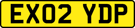 EX02YDP