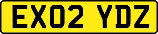 EX02YDZ