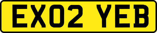 EX02YEB