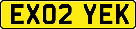 EX02YEK