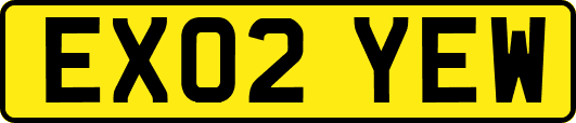 EX02YEW