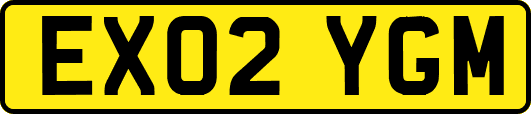 EX02YGM