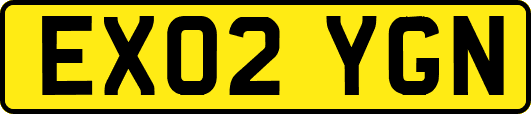 EX02YGN