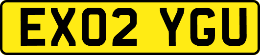 EX02YGU