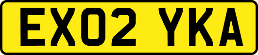EX02YKA