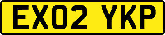 EX02YKP
