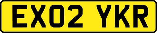 EX02YKR