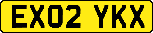 EX02YKX