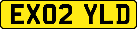 EX02YLD