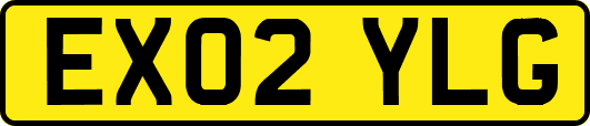 EX02YLG