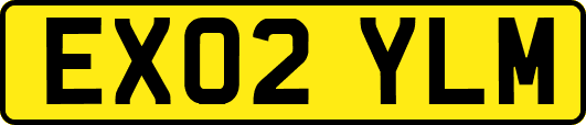 EX02YLM