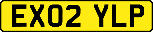 EX02YLP