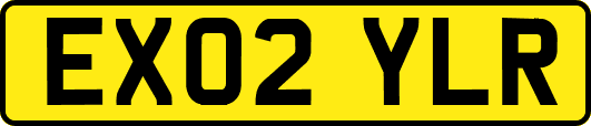 EX02YLR