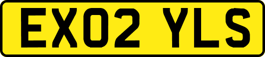 EX02YLS