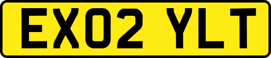 EX02YLT