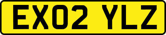 EX02YLZ