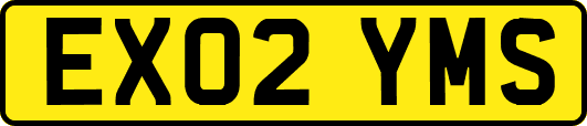 EX02YMS