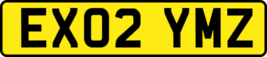 EX02YMZ