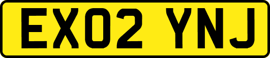 EX02YNJ