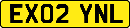 EX02YNL