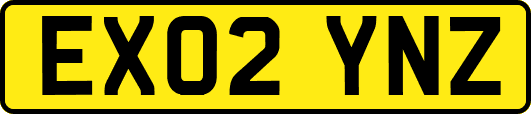 EX02YNZ