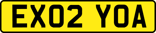 EX02YOA